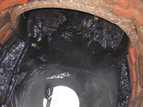 皇桐镇污水/雨水井清理